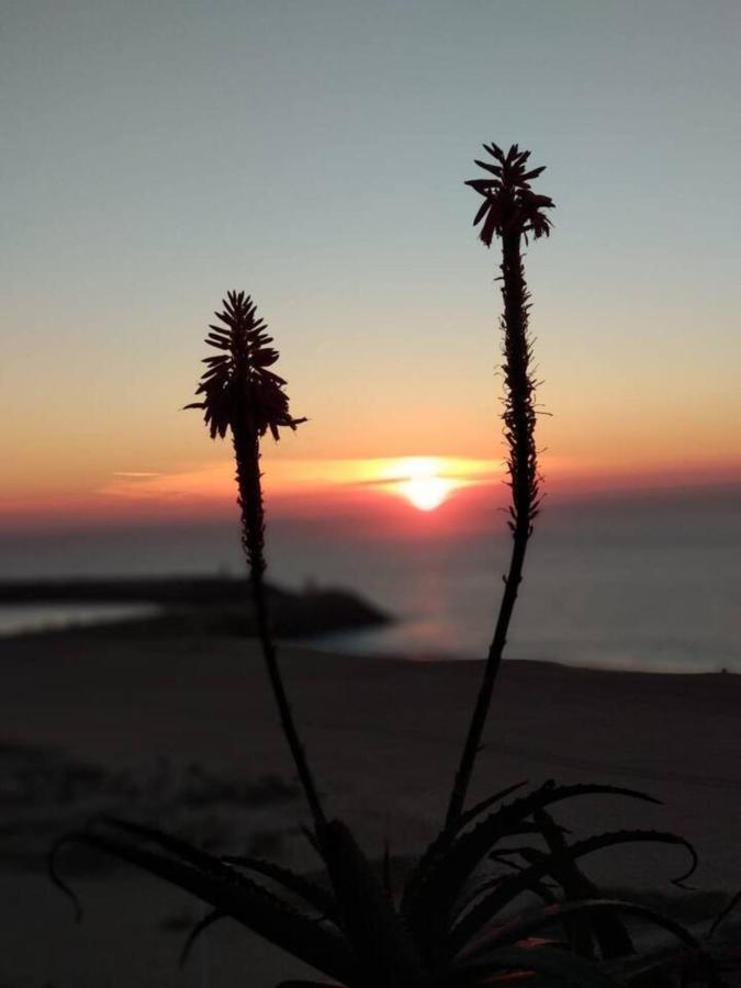 Dream Holiday -Beautiful Spot Nazaré Dış mekan fotoğraf