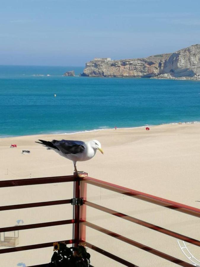 Dream Holiday -Beautiful Spot Nazaré Dış mekan fotoğraf